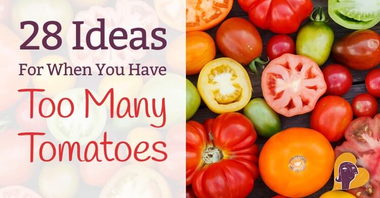 https://mamanatural.com/wp-content/uploads/2014/08/28-Ideas-For-When-You-Have-Too-Many-Tomatoes-Mama-Natural.jpg