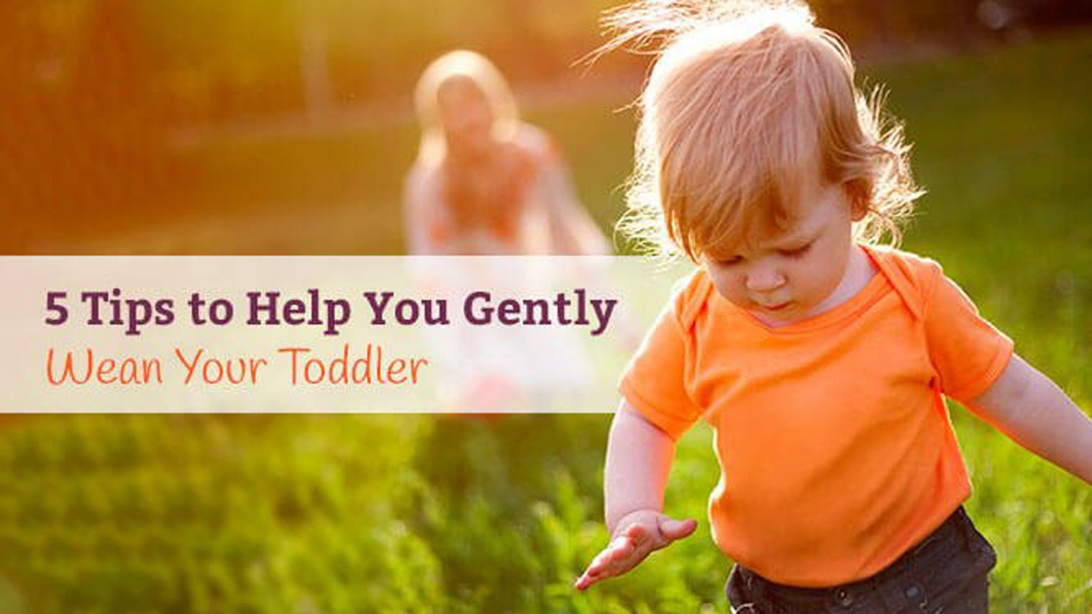 Weaning Toddler: 5 Easy & Natural Tips