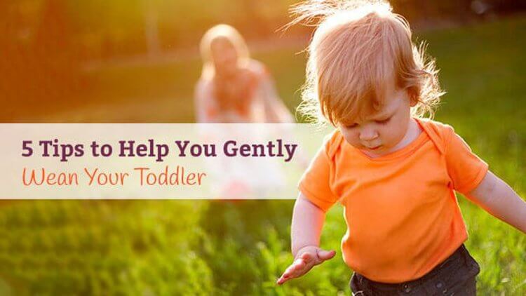 https://www.mamanatural.com/wp-content/uploads/5-Tips-to-Help-You-Gently-Wean-Your-Toddler-post-by-Mama-Natural-750x422.jpg