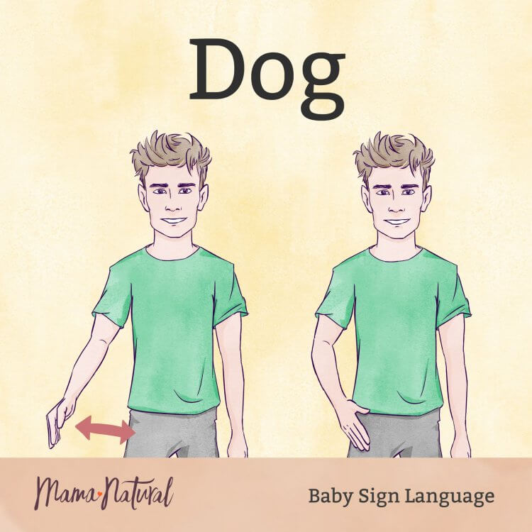 Top 20 Baby Signs Baby Sign Language