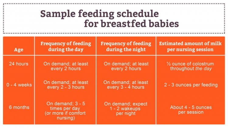 3 Breast Pumping Schedules: Free Printable Sample Charts!  Pumping  schedule, Breast pumping schedule, Pumping and breastfeeding schedule