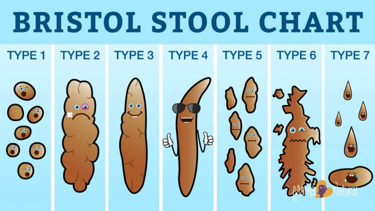 Bristol Stool Chart What Your Poop Says About Your Health Mama Natural 750x422 