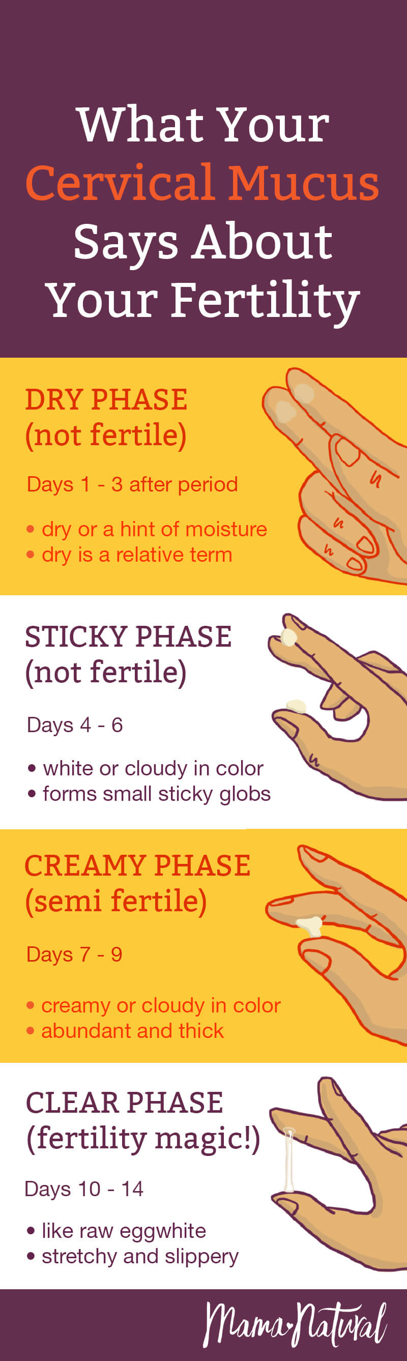 Cervical Mucus Chart Know When You re Fertile Mama Natural