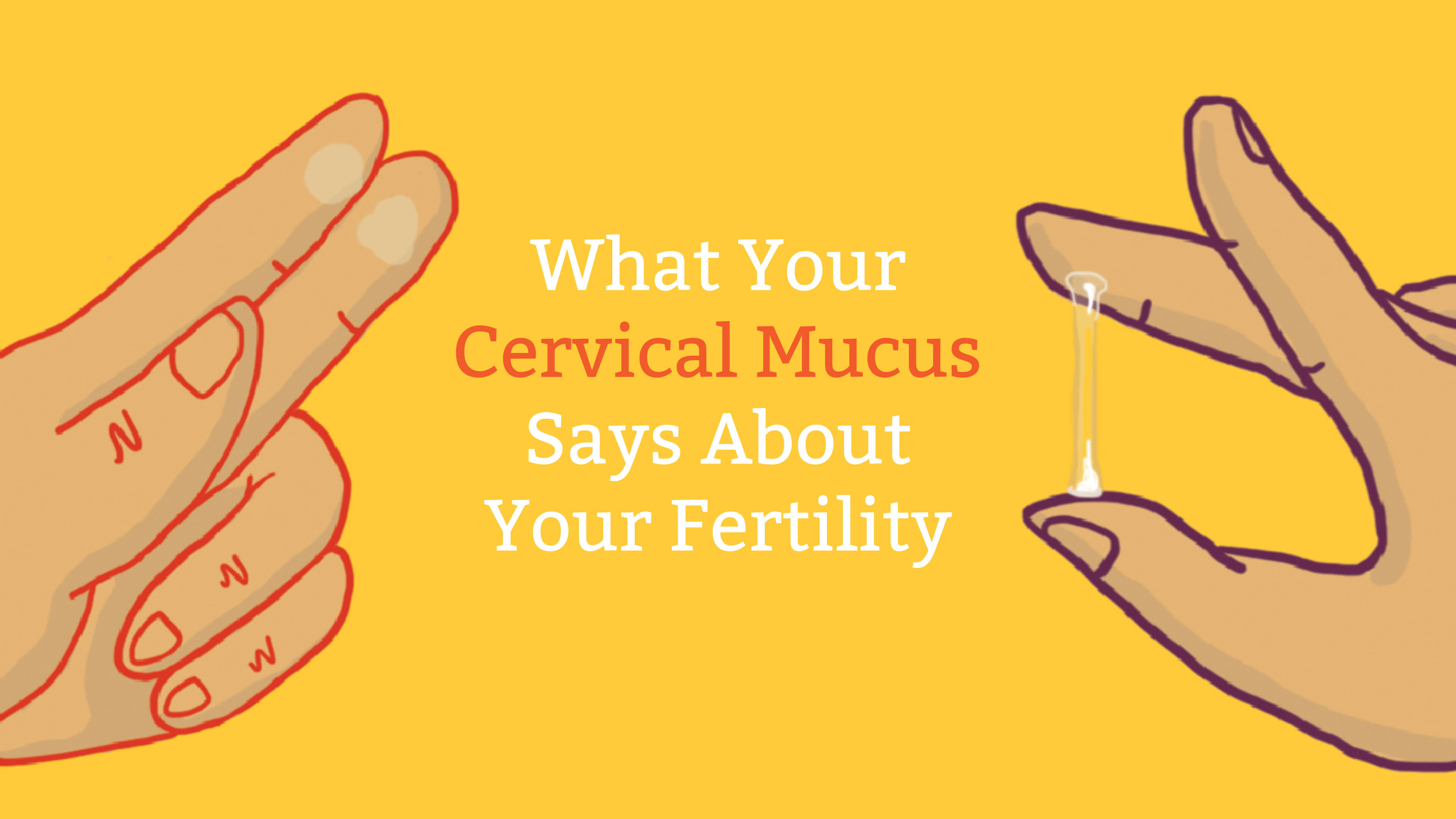 Cervical Mucus Chart: Know When You're Fertile - Mama Natural