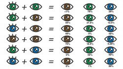 Eye Color Chart- What Color Eyes Will My Baby Have post by Mama Natural