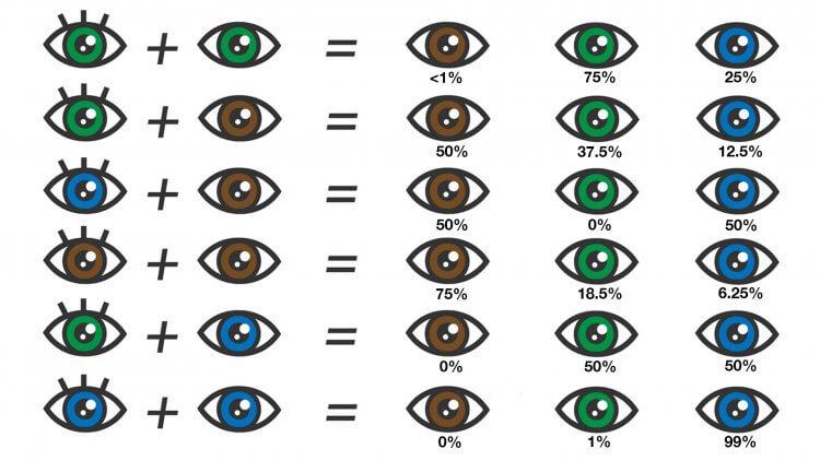 natural eye color chart with names