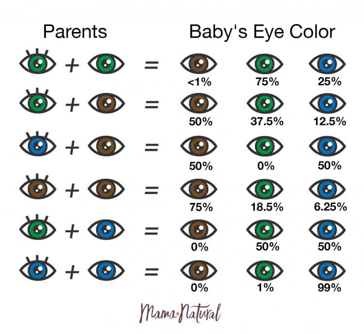 Detailn Odst pi Nebezpe enstvo Genetics Calculator Eye Color Prekro i Nadan To Je astie