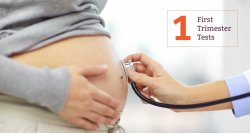 Here’s detailed information on the tests you’ll be offered during your first trimester of pregnancy, including which to take and which to avoid.