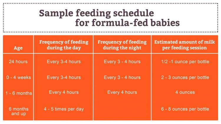 How Much Formula to Feed a Newborn Baby