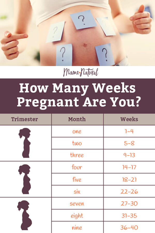 Pregnancy Weeks To Months How To Do The Math Accurately