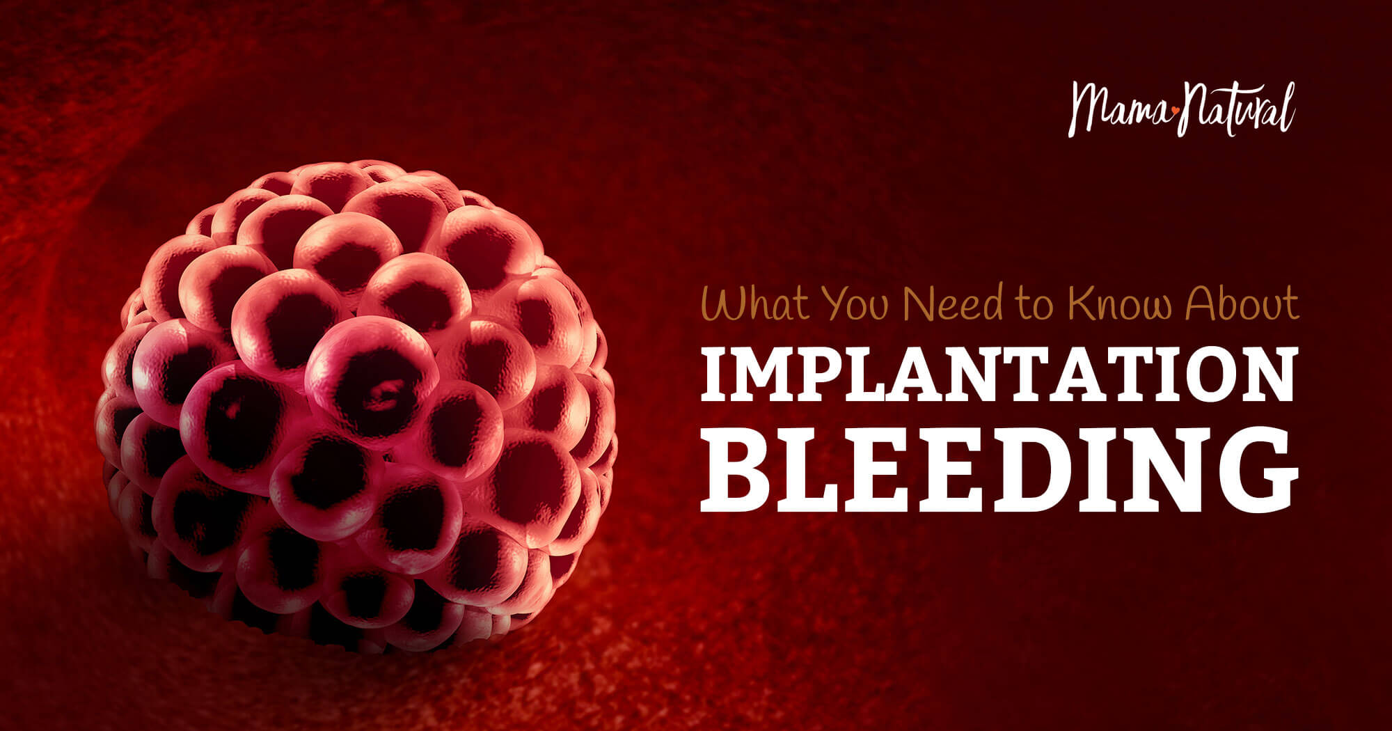 The Ultimate Guide: Implantation Bleeding (2022) — Motherboard Birth