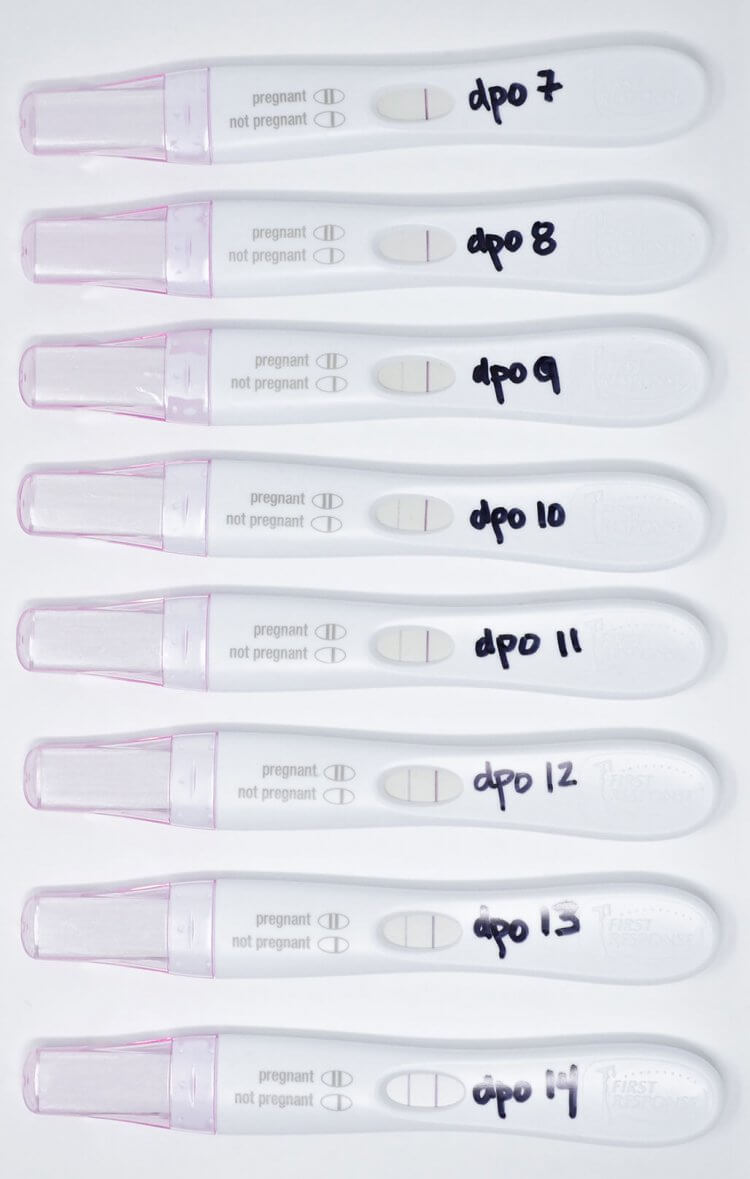 First Response Pregnancy Test Faint Line False Positive
