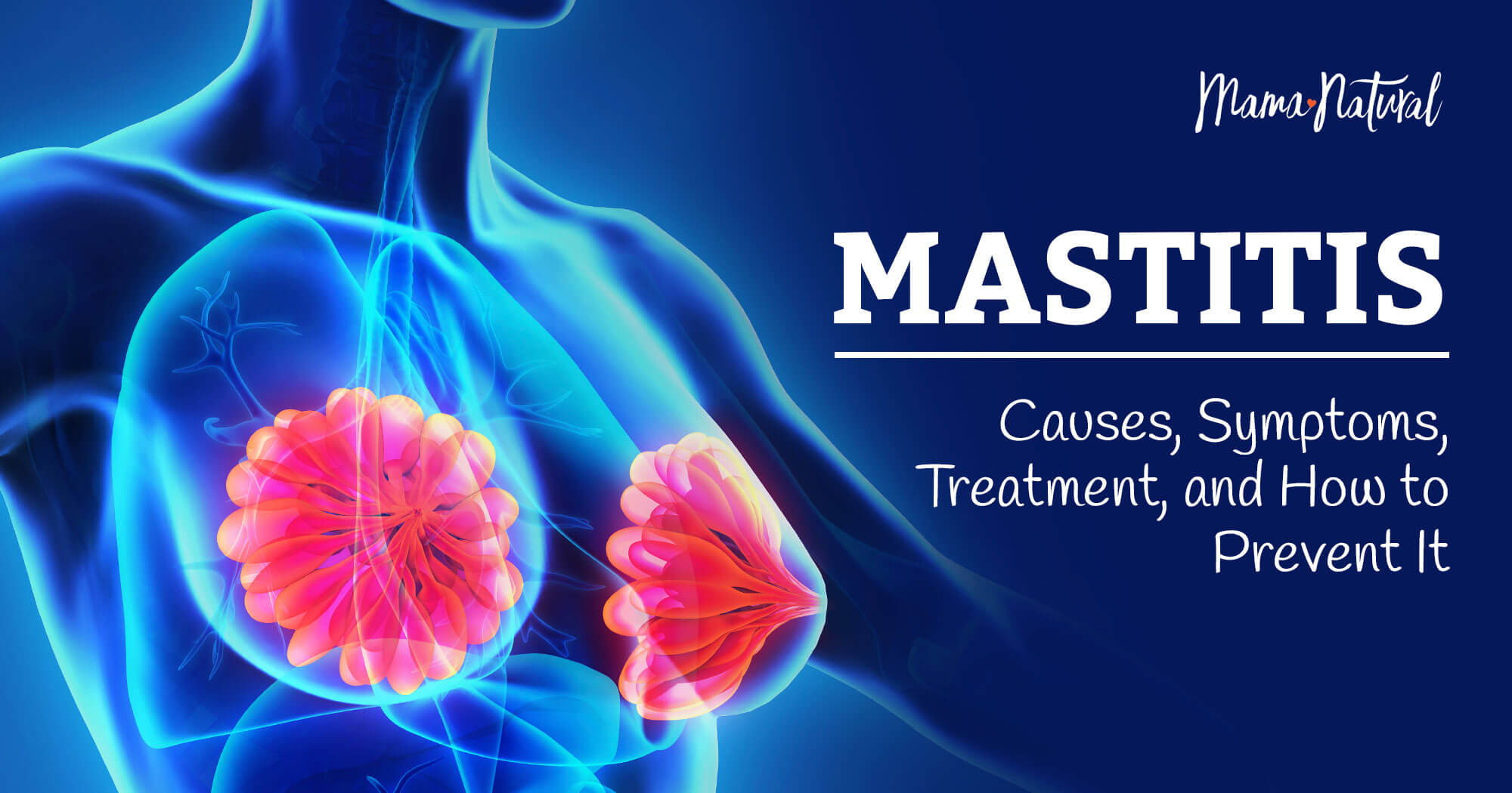Mastitis: Causes, Symptoms, Treatment & Prevention