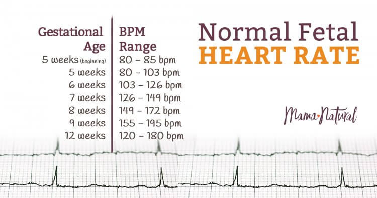 Fetal Heart Rate Chart By Week