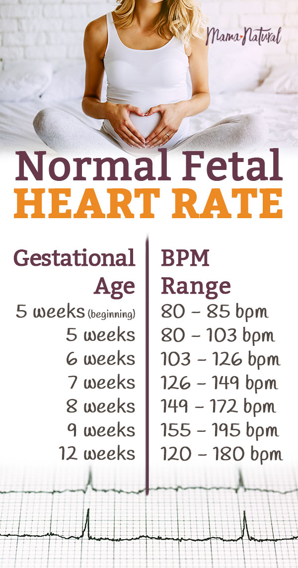 Fetal Heart Rate At 7 Weeks My Baby Heart Rate Recorder App Store