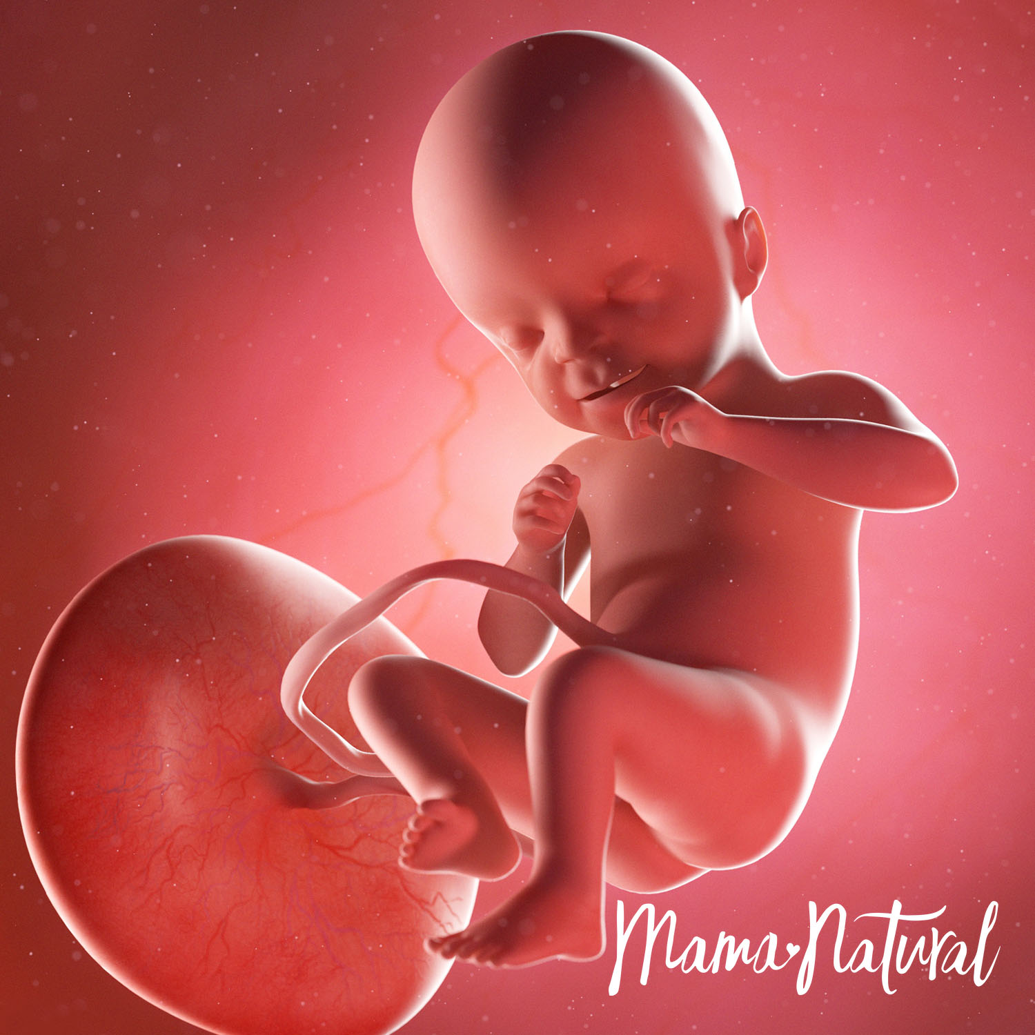 Baby at 21 Weeks Pregnant - Pregnancy Week By Week by Mama Natural