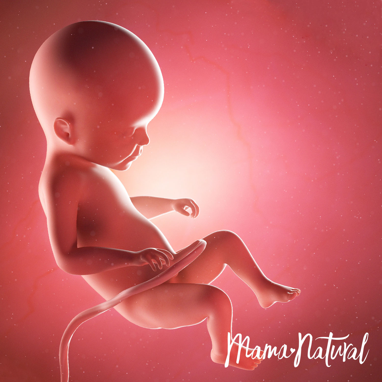 Baby at 22 Weeks Pregnant - Pregnancy Week By Week by Mama Natural