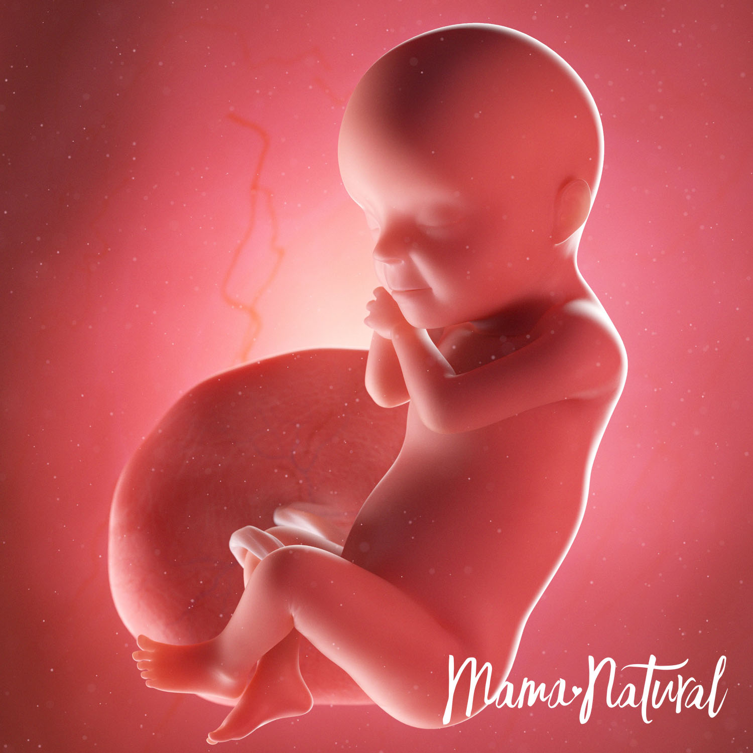 Baby at 30 Weeks Pregnant - Pregnancy Week By Week by Mama Natural