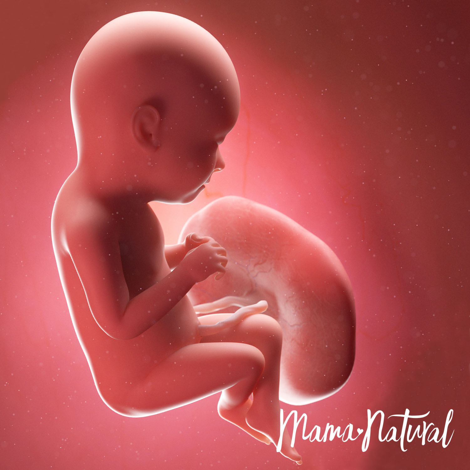 Baby at 37 Weeks Pregnant - Pregnancy Week By Week by Mama Natural