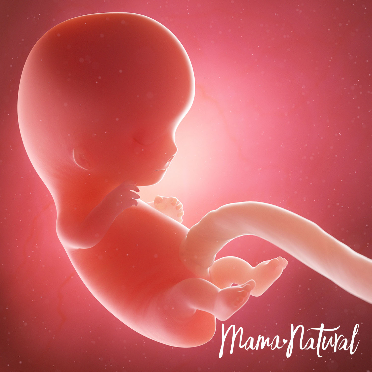 Baby at 9 Weeks Pregnant - Pregnancy Week By Week by Mama Natural