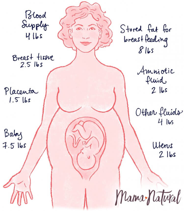 24 Weeks Pregnant Natural Pregnancy Week By Week