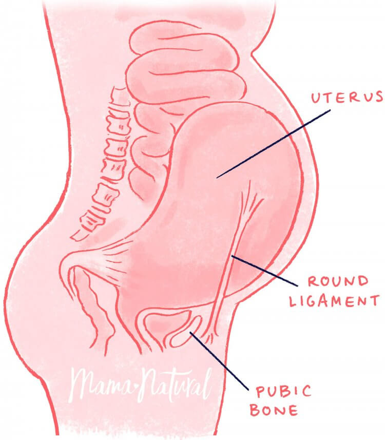 Round Ligament Pain, Ligament Pain During Pregnancy