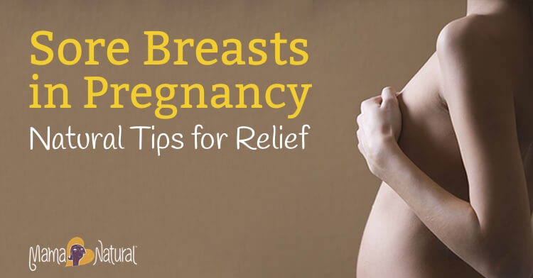 Natural Relief for Sore Breasts in Pregnancy - Mama Natural