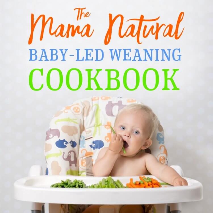 The Mama Natural Baby-Led Weaning E 