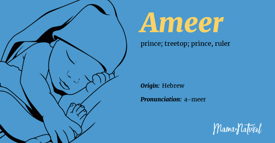 What Is The Meaning Of Ameer In Urdu