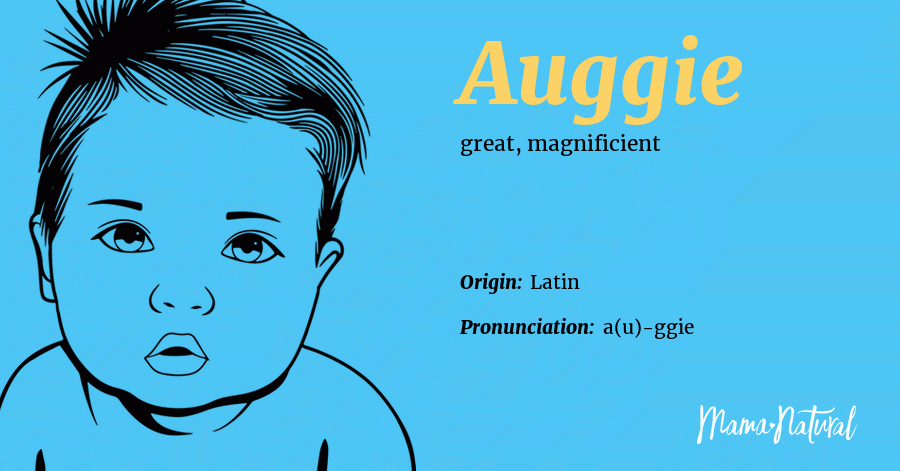 Auggie Name Meaning Origin Popularity Boy Names Like Auggie Mama 