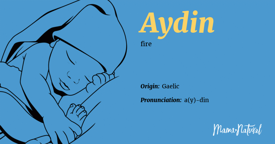 Aydin Name Meaning Origin Popularity Boy Names Like Aydin Mama Natural