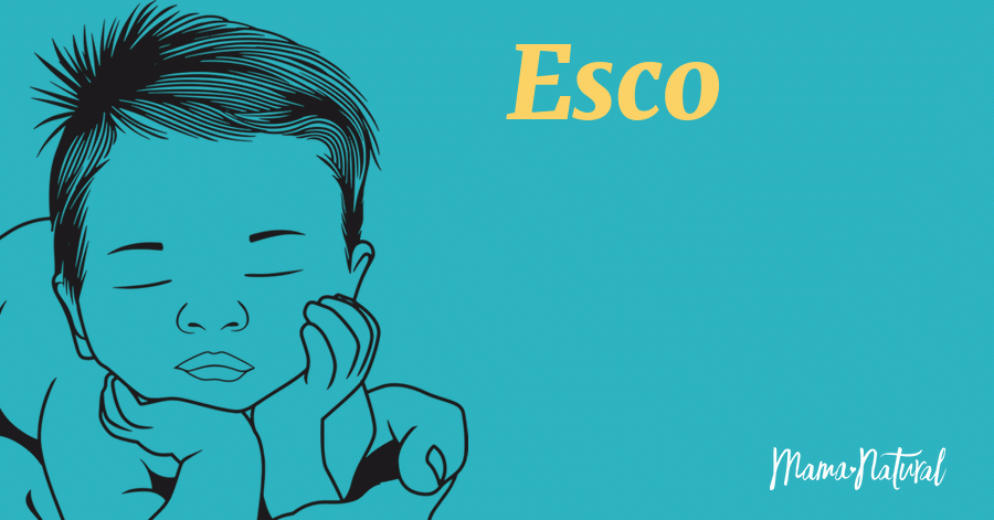 Esco Meaning In English