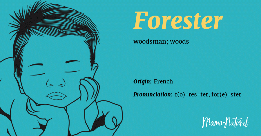 forester-name-meaning-origin-popularity-boy-names-like-forester