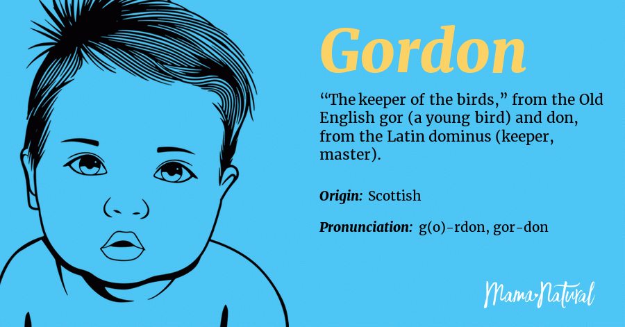 Gordon Name Meaning, Origin, History, And Popularity