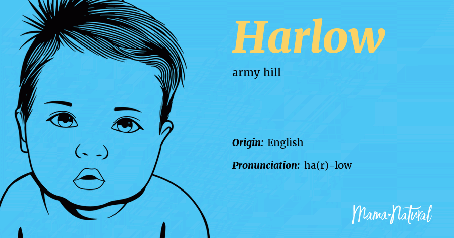 harlow-name-meaning-origin-popularity-boy-names-like-harlow-mama