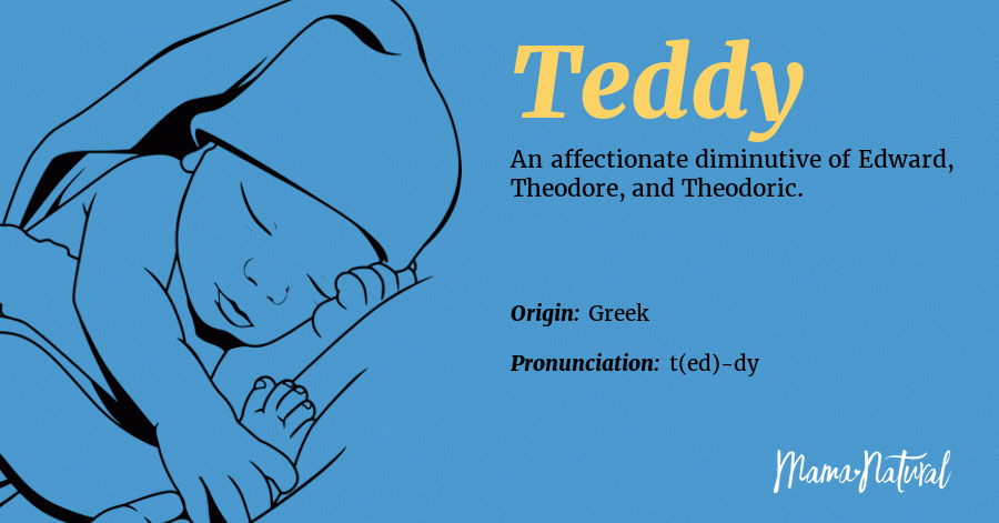 teddy baby name