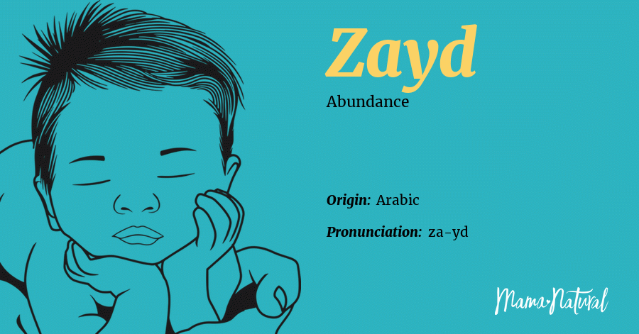 What Is The Meaning Of Name Zayd