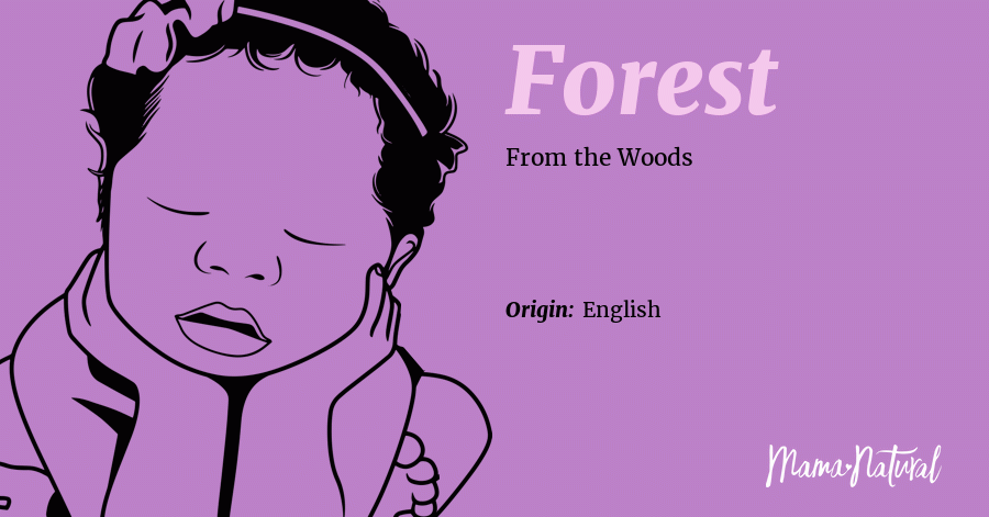 forest-name-meaning-origin-popularity-girl-names-like-forest-mama-natural