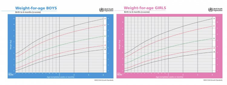 Average Baby Weight at Birth and By Month